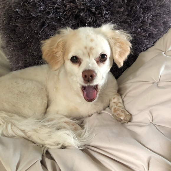 Meet your Posher: Sophie - Picture 3 of 7